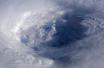 Жаркое лето или дожди с прохладой: синоптики сказали, чего ждать россиянам